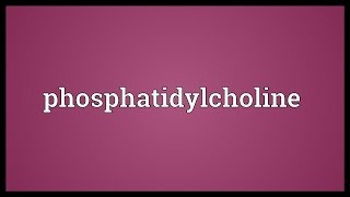 Phosphatidylcholine Meaning [upl. by Napoleon]