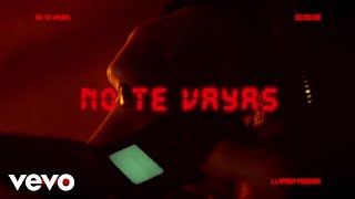 Prince Royce  No Te Vayas Official Lyric Video [upl. by Kuebbing]