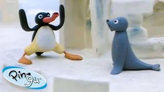 Pingu in the Snow 🐧  Pingu  Official Channel  Cartoons For Kids [upl. by Amadus]