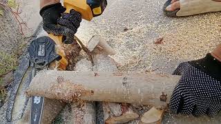 500i vs Stipphl 400c cuttingwood madeingermany Different types of trees Importance of trees stihl [upl. by Llenyaj]