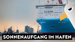 Sonnenaufgang ☀️ im Hafen 🛳️ ANE MAERSK verlässt Hamburg 🚢 AIDAnova 💋 und BOLETTE laufen ein [upl. by Lletnahs147]