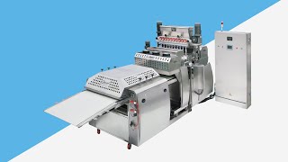 MultiHead Encrusting amp CoExtruding Machine  Model OM10N [upl. by Carlick27]