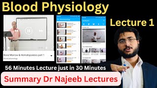 Bone Marrow and Hematopoiesis  Dr Najeeb  Lecture 1  Summary [upl. by Letch]