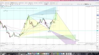 MotiveWave Harmonic Pattern Study on different timeframes [upl. by Charie]