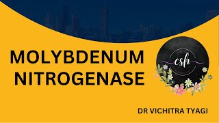 STRUCTURE OF MOLYBDENUM NITROGENASE [upl. by Retepnhoj]