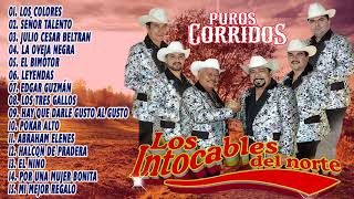 Los Intocables Del Norte 2020  Musica Norteñas Disco Completo [upl. by Rance937]