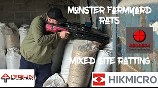 Monster farm yard rats Gonna need a bigger gun [upl. by Arvell]