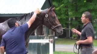 Cozmic One and Jesss Dream at Saratoga August 4 [upl. by Meece72]