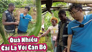 Điều thú vị khi Trưởng phòng nông nghiệp huyện thăm trang trại 2Qvlogs cuộc sống châu phi [upl. by Aletse]