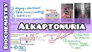 Alkaptonuria the molecular biochemistry made simple for USMLE NCLEX NEET PG [upl. by Oenire]