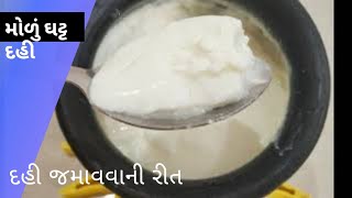 મોળુ અને ઘટ્ટ દહીં જમાવાની પધ્ધતિ I How to Make Curd at Home [upl. by Suellen551]