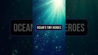 Oceans Tiny HeroesDiscover the oceans unsung heroes oceanlife inspiration facts motivation [upl. by Raoul]