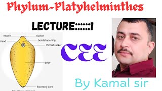 Phylum Platyhelminthes  Cee zoology by Kamal Nepal sir with best note [upl. by Yrekcaz]