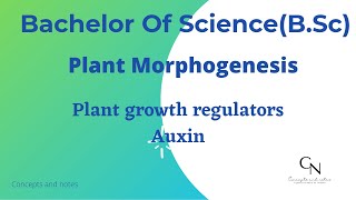 Plant Growth Regulators  Auxin  Concepts and Notes [upl. by Eedak604]