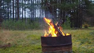 Cozy campfire in our fire pit in Swedish Lapland [upl. by Inatirb]