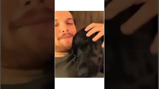 Daily Dose Internet Dogs Part 45 dogs dogshorts funny pets animals cutedog [upl. by Elwira]