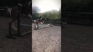 Albiiiii ❤️ jumping sportshorse cutepony trot overjump skewbald [upl. by Josie]