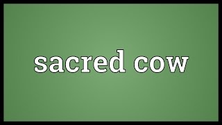 Sacred cow Meaning [upl. by Eetnahc345]