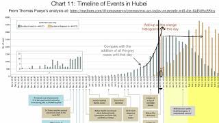 Estimating actual COVID 19 cases novel corona virus infections in an area based on deaths [upl. by Dallman]