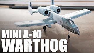 EFlite UMX A10 Warthog  REVIEW [upl. by Kurland]