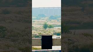 Tungabhadra Dam Hospettungabhadra hospet hampi fyp ytshorts shortsfeed yt youtubeshorts [upl. by Bourque271]