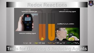 Test for Oxidizing and Reducing Agents  Chemistry Tutorial [upl. by Halle]