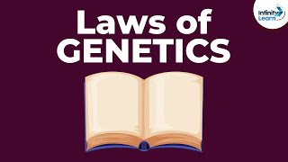 Laws of Genetics  Lesson 5  Dont Memorise [upl. by Gowon]