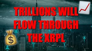 🚨 XRP RIPPLE ⚠️ IMPORTANT LAWSUIT DEADLINE 👩‍⚖️ DEMAND FOR XRP ABOUT TO SKYROCKET 🚀 [upl. by Blanch334]