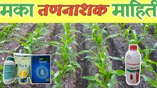 मका पिकातील तन नाशक  BASF tinjar  Rozzer nagarjuna herbicide  Topramezone 336 sc [upl. by Smail382]