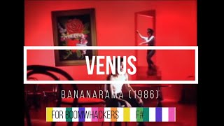 VENUS Bananarama for boomwhackers  lyrics [upl. by Negyam]