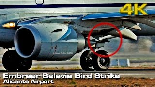 Embraer Belavia Bird Strike Alicante Airport ALC 4K [upl. by Ahsemac]