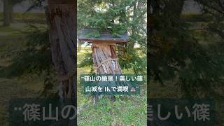 “Discover the Beautiful Sasayama Castle 🏯  4K Views of History amp Elegance” castleview tokyo [upl. by Meekahs]