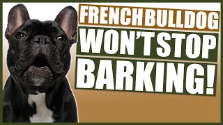 How To Stop Your FRENCH BULLDOG Barking [upl. by Goody]