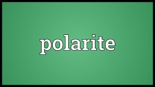 Polarite Meaning [upl. by Nadbus598]