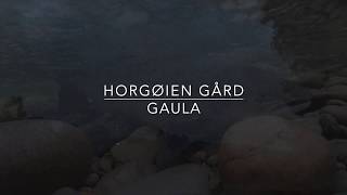 Laksefiske Horgøien 2018 HD [upl. by Naresh]