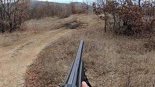 Lov na Zeca  Rabbit Hunting [upl. by Amos201]