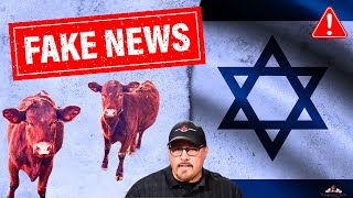 FAKE NEWS Red Heifers ISRAEL and Passover  What are the FACTS [upl. by Nisotawulo559]