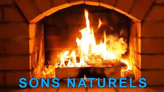 4 heuresfeu de cheminée sans musique crépitant avec sons naturels flammes foyer chaleureux [upl. by Holton932]