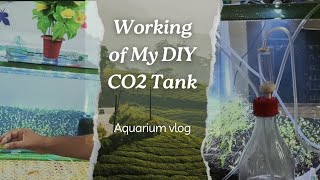 My DIY CO2 tank is working properly [upl. by Arriaet]