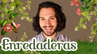 🌿Plantas TREPADORAS o enredaderas CON FLOR🌸 y resistentesEXISTEN🤣 [upl. by Sifan]