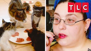 EXTREME Cat Addictions  My Strange Addiction  TLC [upl. by Roehm]