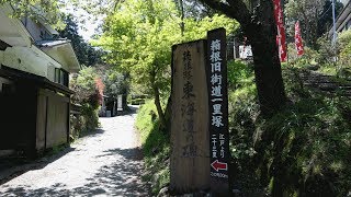 Yajiさんの旅の道草 箱根旧街道 その③畑宿⇒甘酒茶屋 【Hakone old road in the Edo Period Hatasyuku⇒Amazakecyaya】 [upl. by Ozzie]