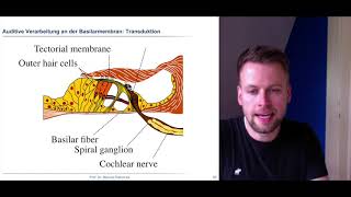 Wahrnehmungspsychologie 4  Akustische Wahrnehmung und Transaktion [upl. by Skye446]