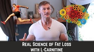 LCarnitine  How to Mobilize Fat amp Enhance Brain Health  Thomas DeLauer [upl. by Sivel]