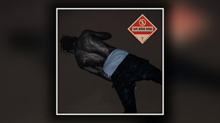 Travis Scott  Serenade DAYS BEFORE RODEO DELUXE [upl. by Ecinrahs]