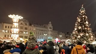 Odpalenie choinki Bydgoszcz 2022 Stary Rynek święta choinka bydgoszcz [upl. by Venola]