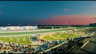 Dubai Racing Carnival 20242025 [upl. by Ahtebat]