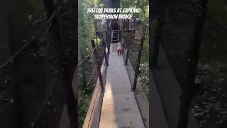 Treetop trails at the suspension bridgervliving vancouver canada capilanosuspensionbridge [upl. by Animrac]