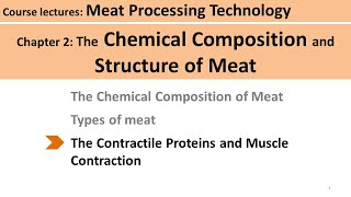 C210 contractile proteins and muscle contraction Meat Technology [upl. by Nahgeam856]