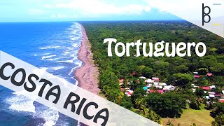 Tortuguero National Park 🇨🇷 Costa Rica 4K  Exploring Wildlife  Part 1 [upl. by Ciryl449]